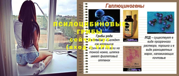каннабис Абаза